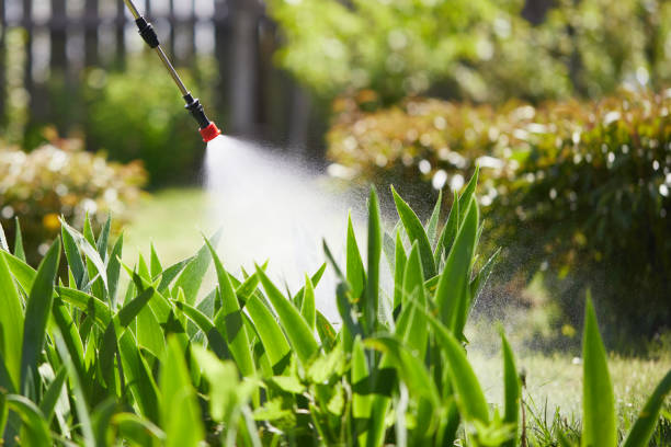 24/7 Emergency Wasp Removal experts in Harper Woods, MI