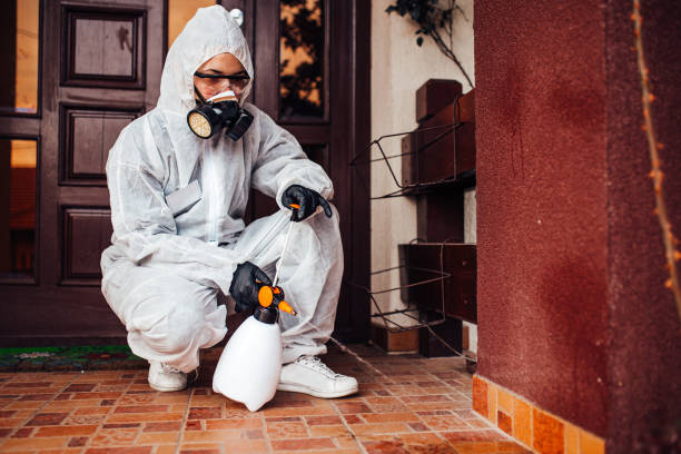 Reliable Wasp Removal contractor in Harper Woods, MI by Show Me Pest Control