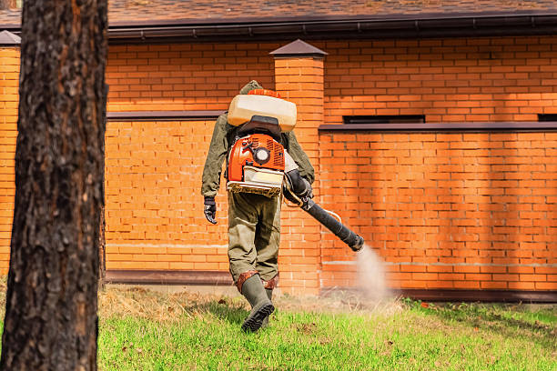 Top rated local Wasp Removal specialists in Harper Woods, MI